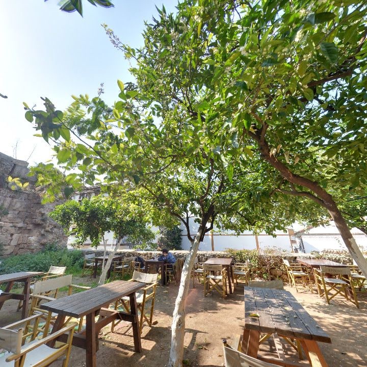 Fotoğraf 8