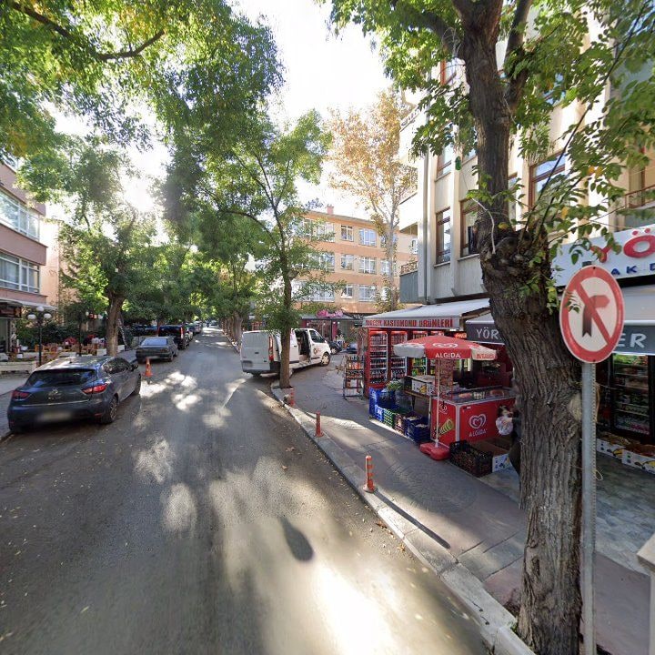 Fotoğraf 12