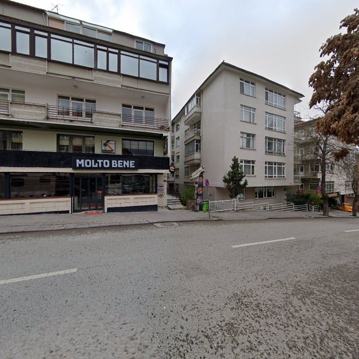 Fotoğraf 11