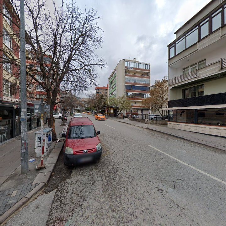 Fotoğraf 10