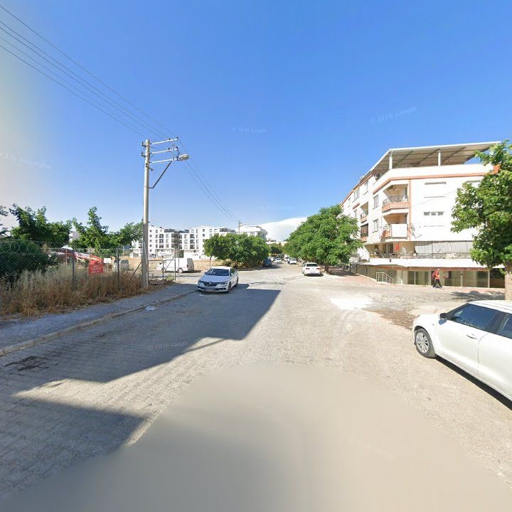 Fotoğraf 11
