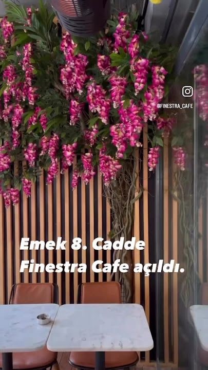 Finestra Emek
