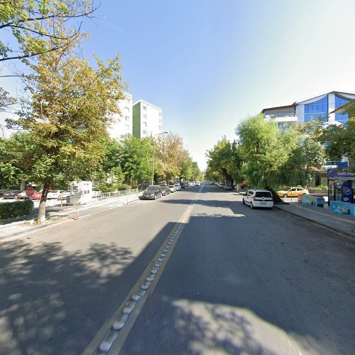 Fotoğraf 15