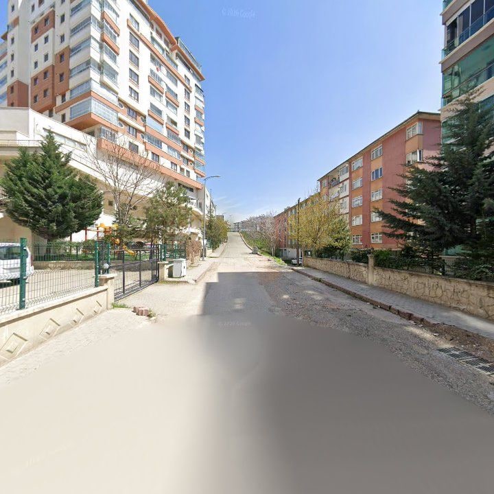 Fotoğraf 12