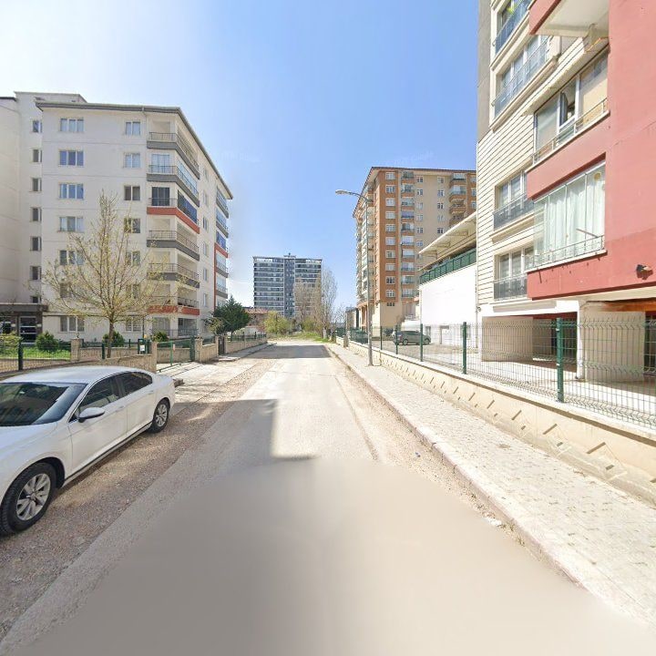 Fotoğraf 14