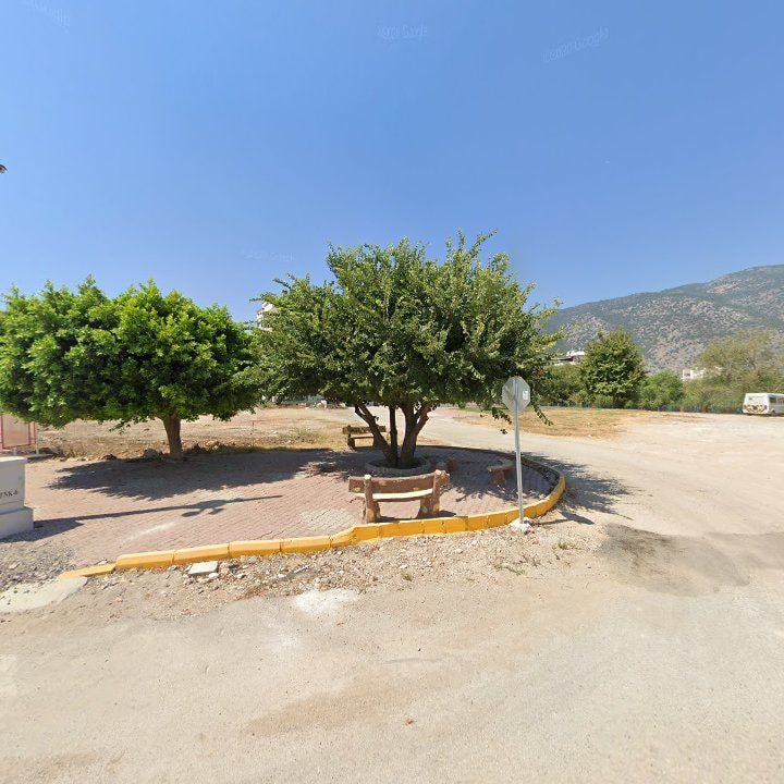 Fotoğraf 8