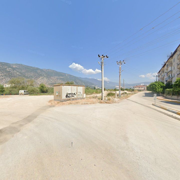 Fotoğraf 9