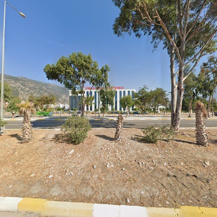 Fotoğraf 4