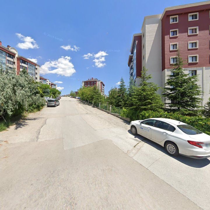 Fotoğraf 11