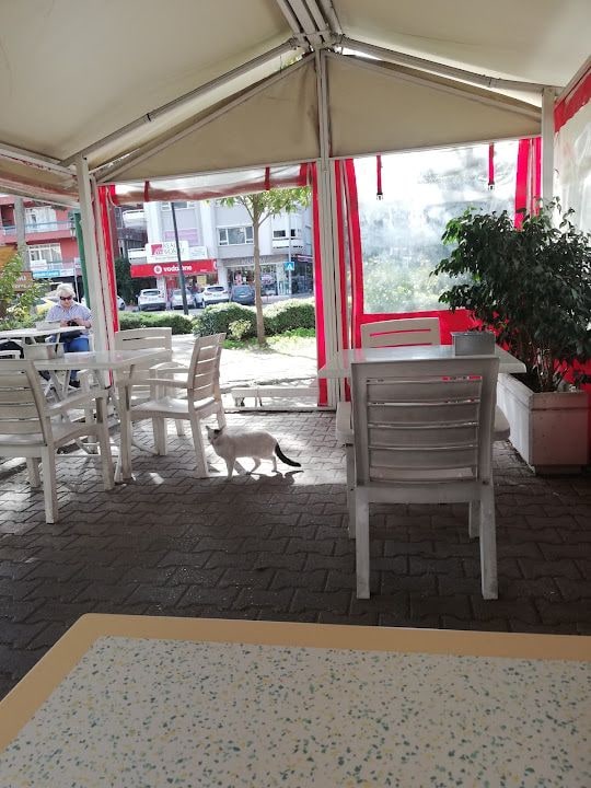 Fotoğraf 5
