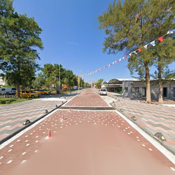 Fotoğraf 7
