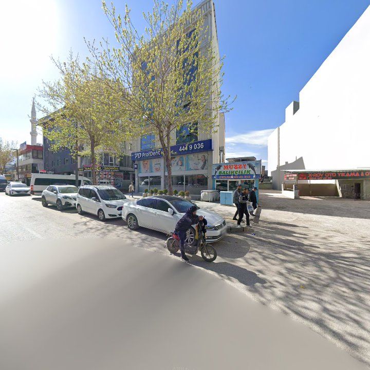 Fotoğraf 3
