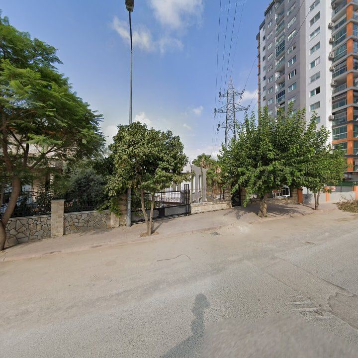 Fotoğraf 8