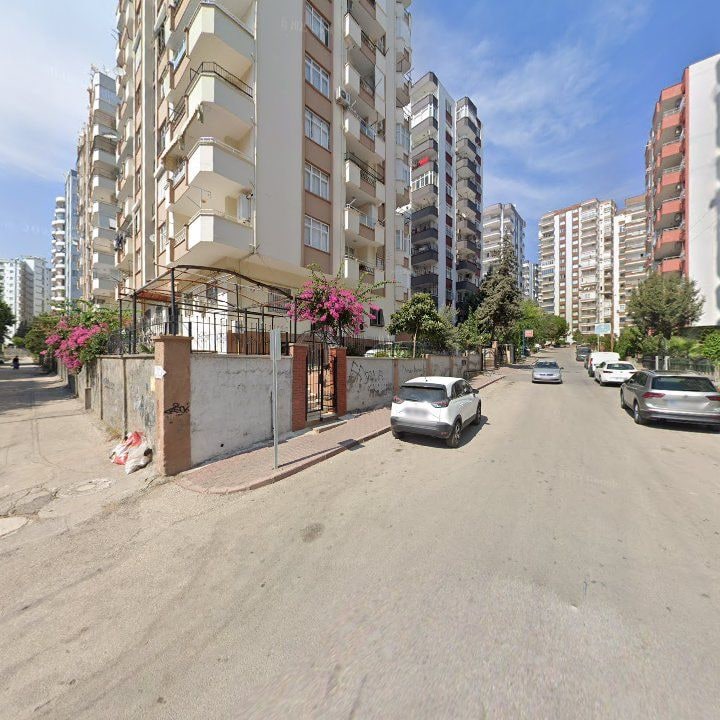 Fotoğraf 10