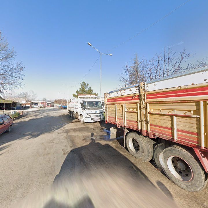 Fotoğraf 6