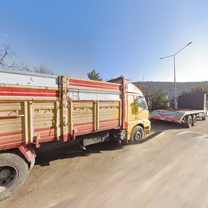 Fotoğraf 7