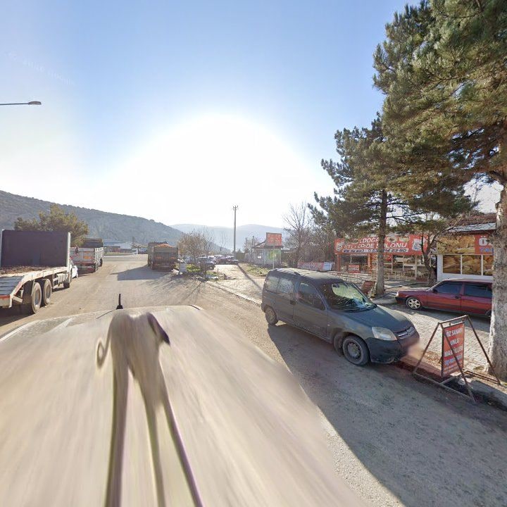 Fotoğraf 8