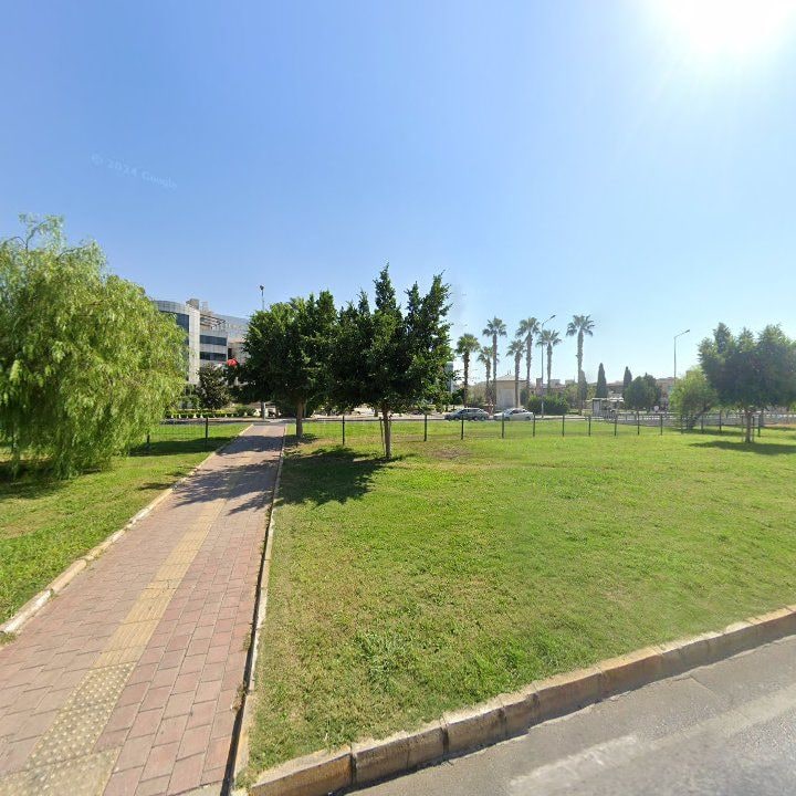 Fotoğraf 9