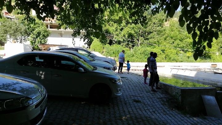 Fotoğraf 7