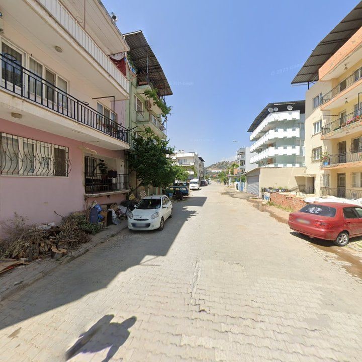 Fotoğraf 5