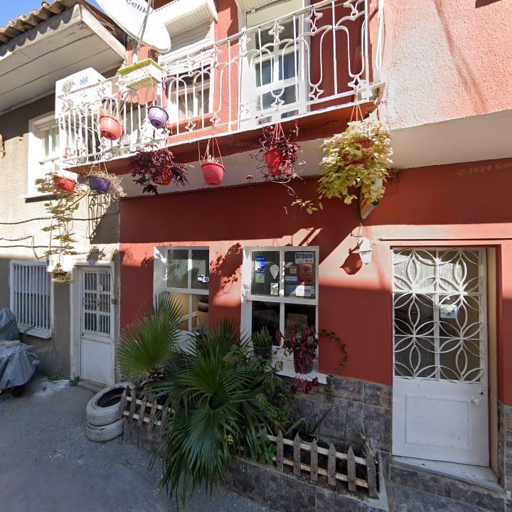 Fotoğraf 8