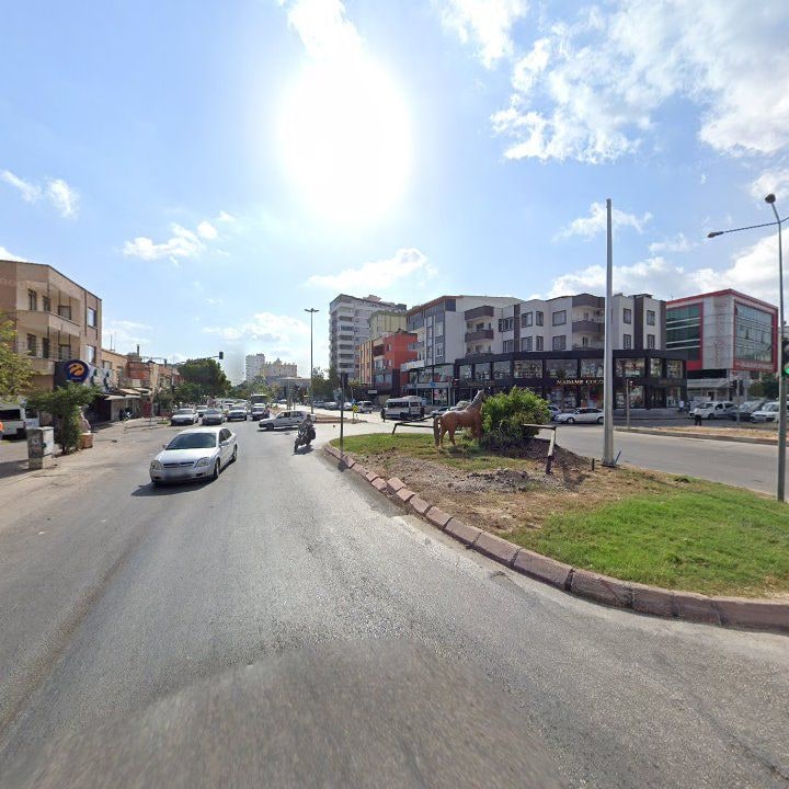 Fotoğraf 7
