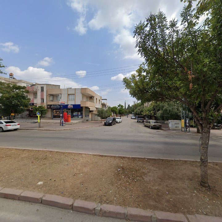 Fotoğraf 5
