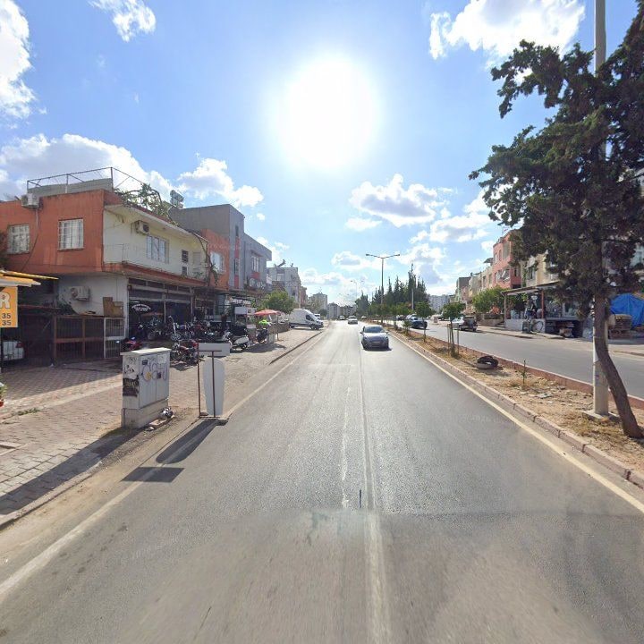 Fotoğraf 6