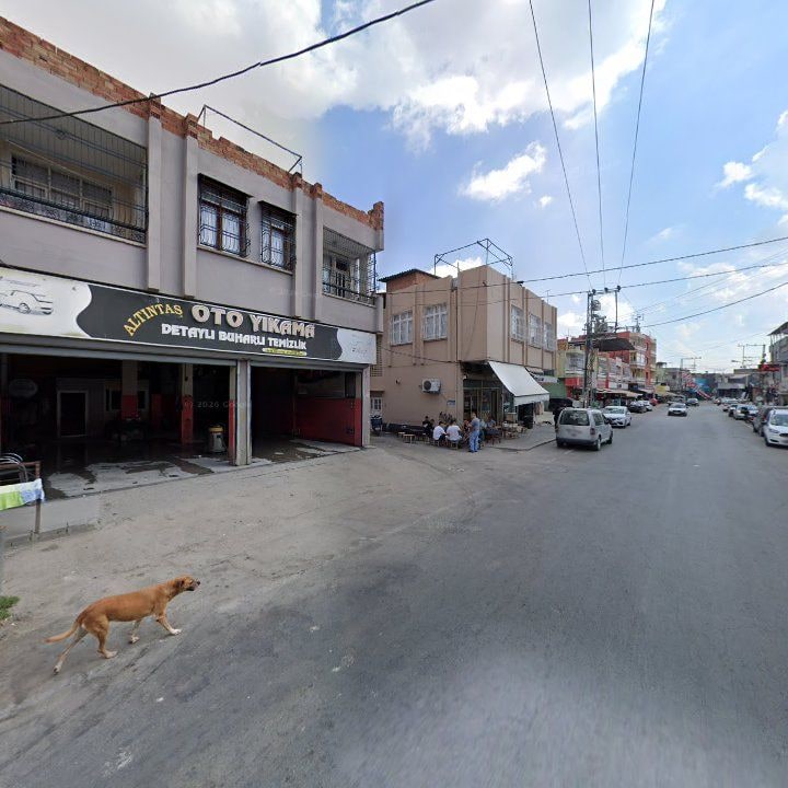 Fotoğraf 8