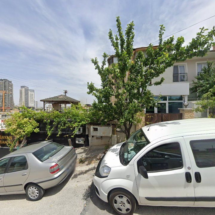 Fotoğraf 3