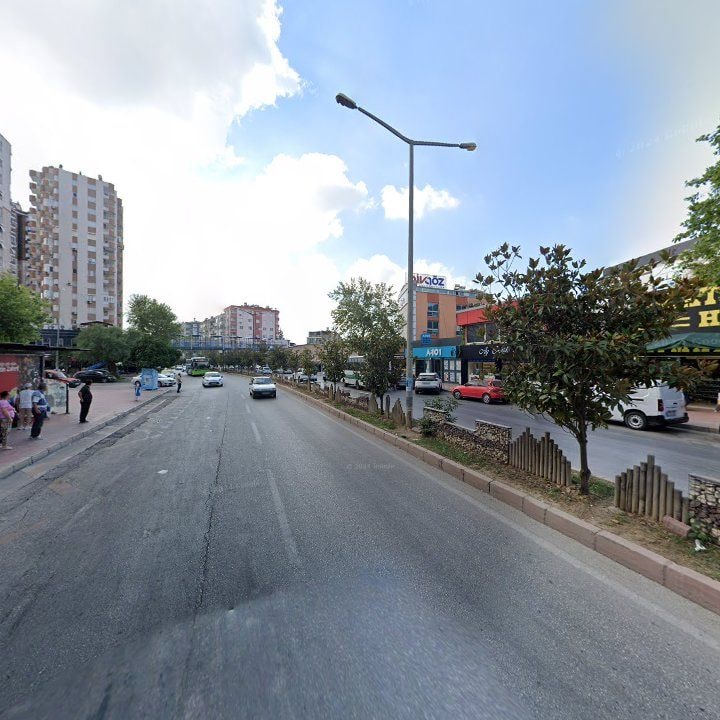 Fotoğraf 7