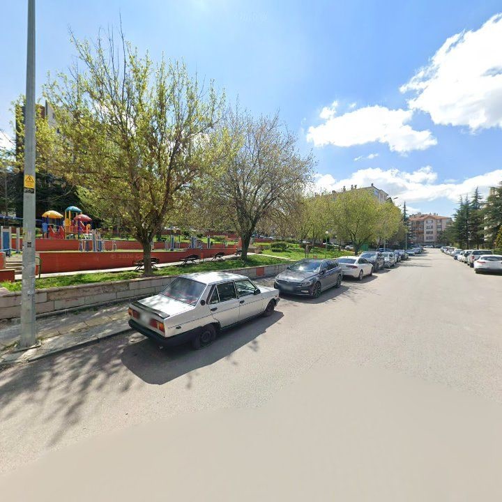 Fotoğraf 10