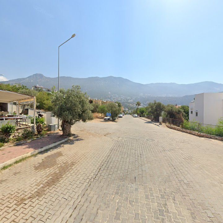 Fotoğraf 7