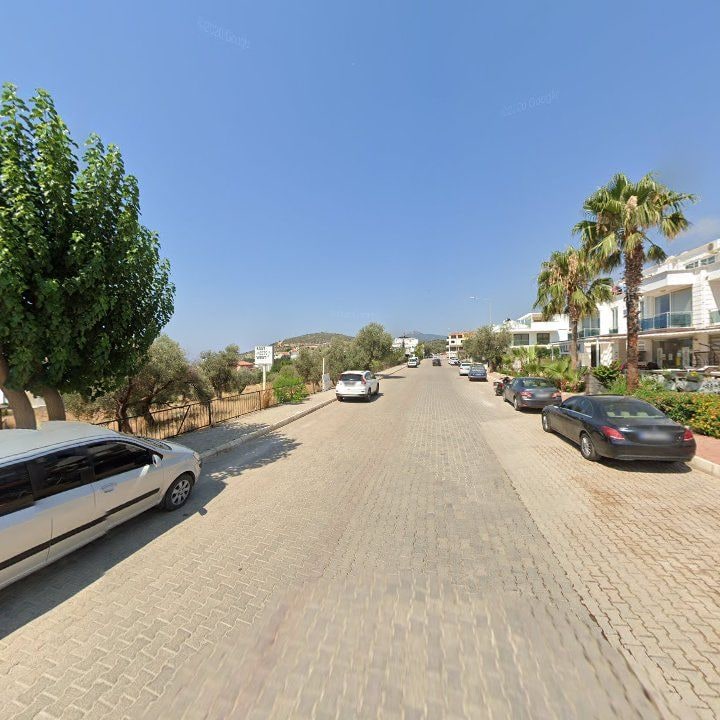 Fotoğraf 9