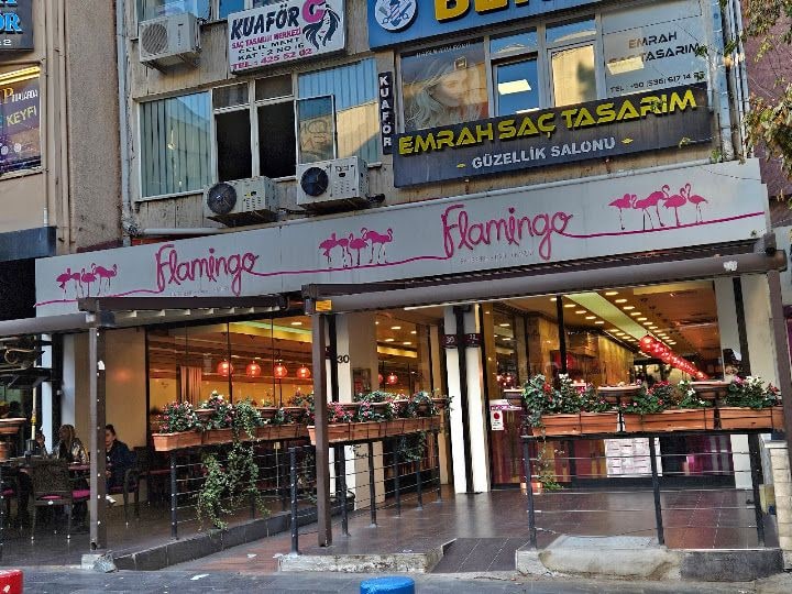 Flamingo Pastanesi
