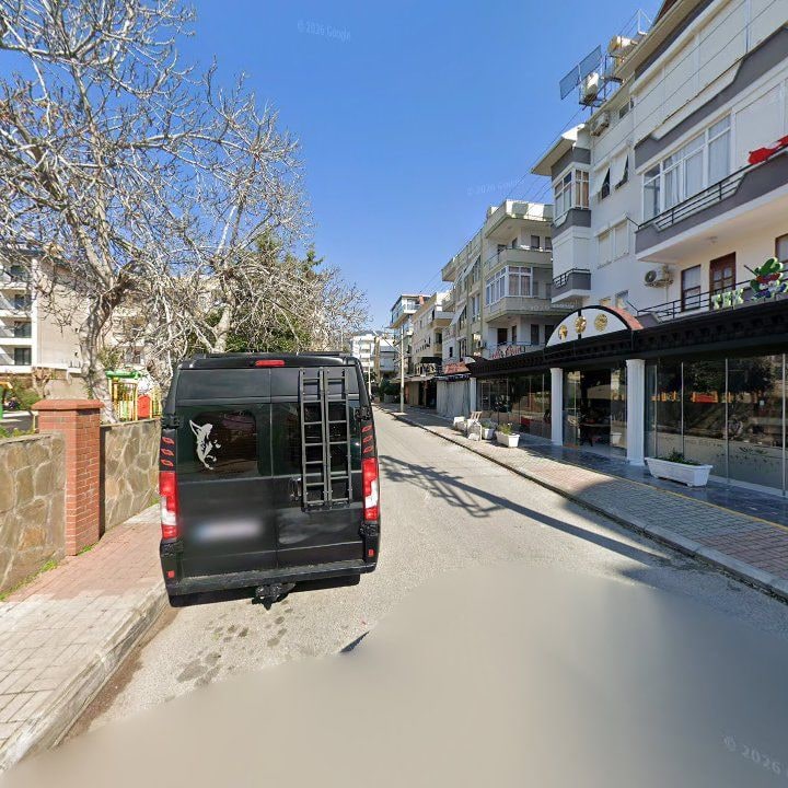 Fotoğraf 11