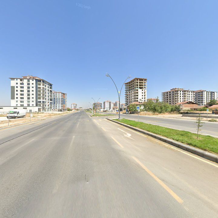 Fotoğraf 6