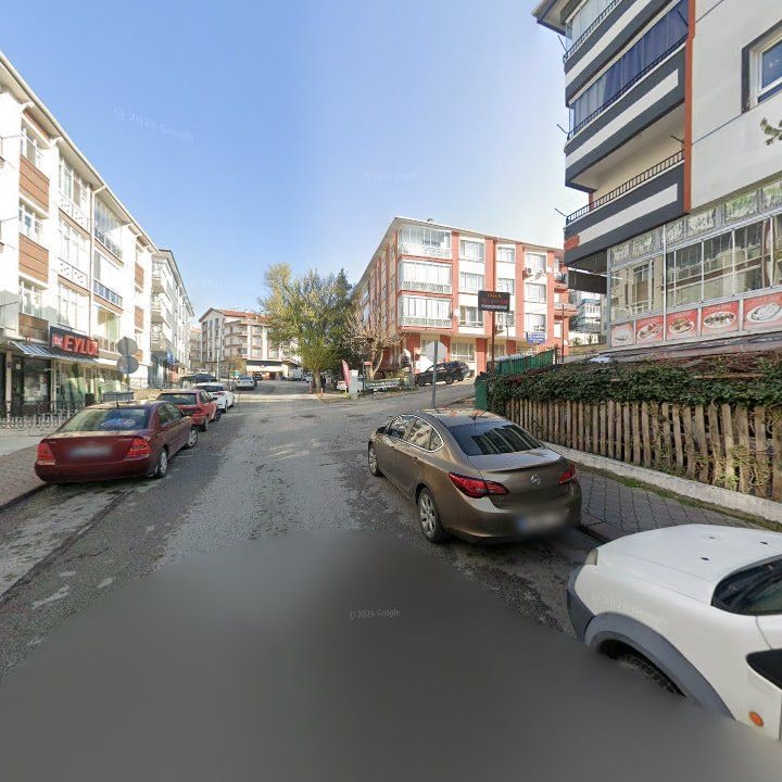 Fotoğraf 10