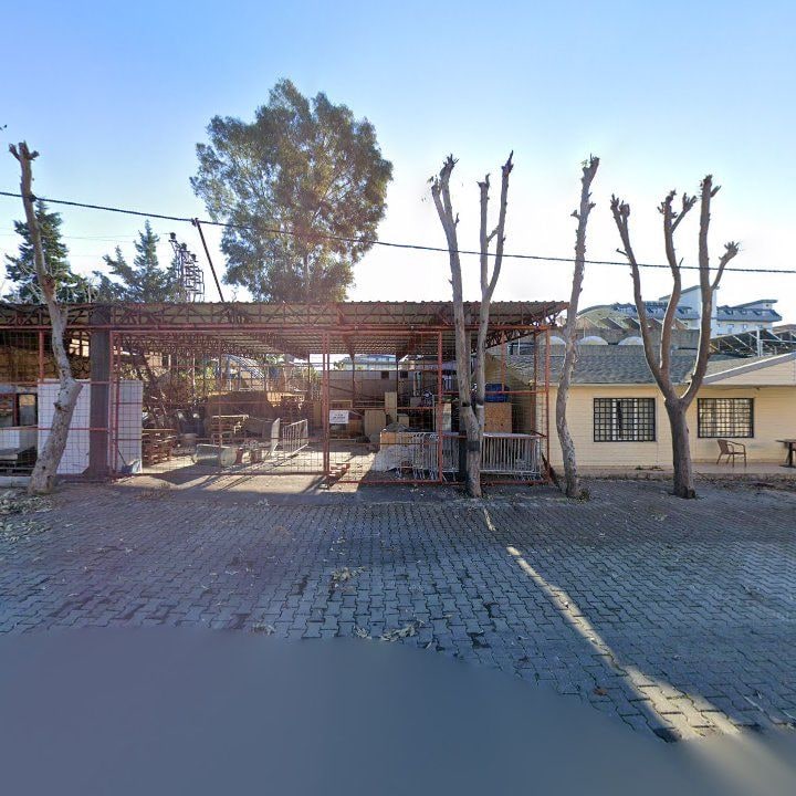 Fotoğraf 11