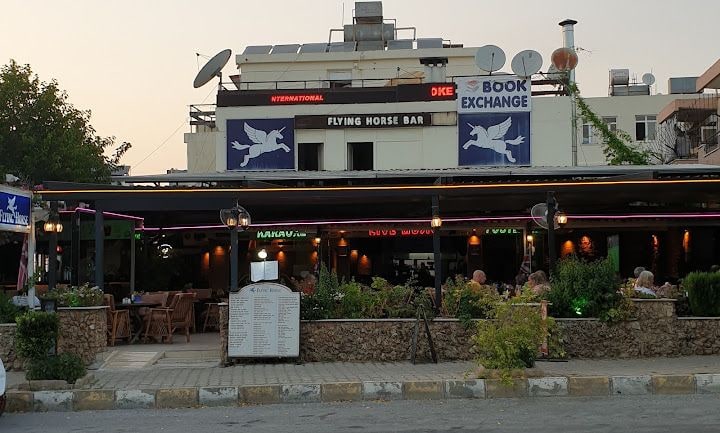 Flying Horse Karaoke Sports Bar Restaurant