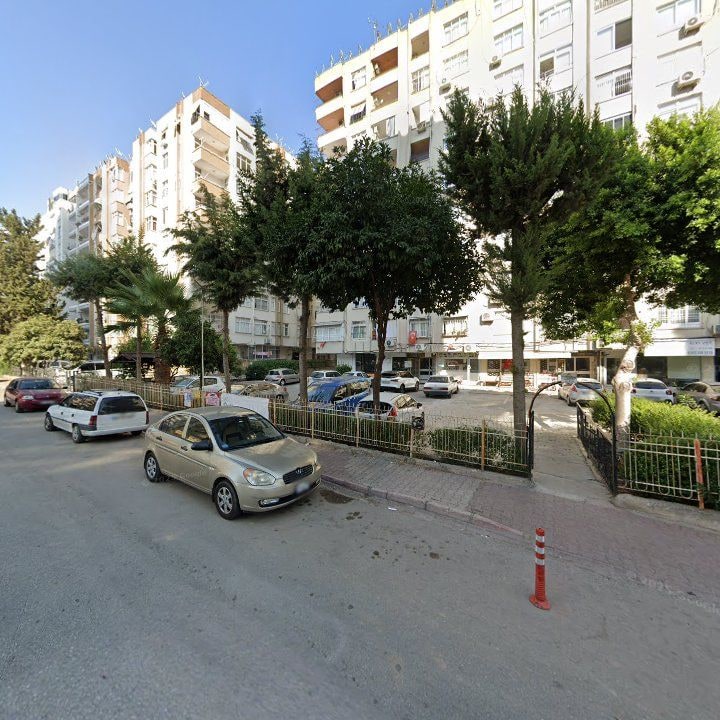 Fotoğraf 8