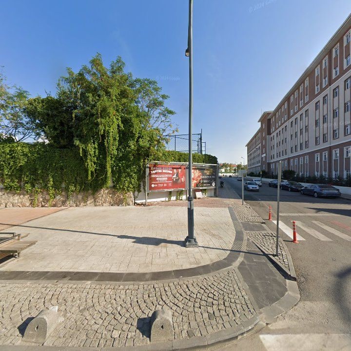 Fotoğraf 10