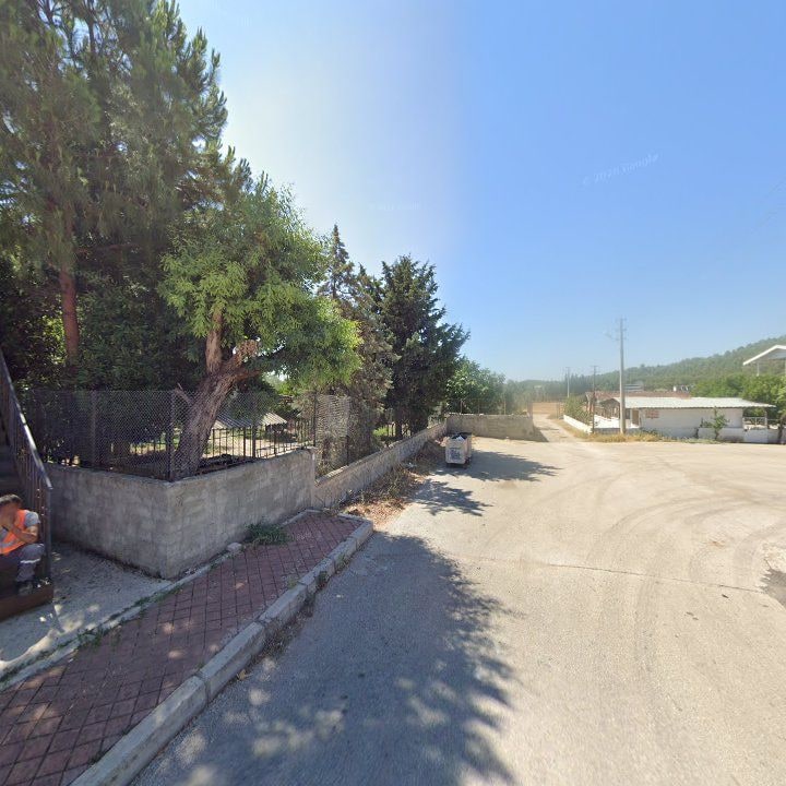 Fotoğraf 15