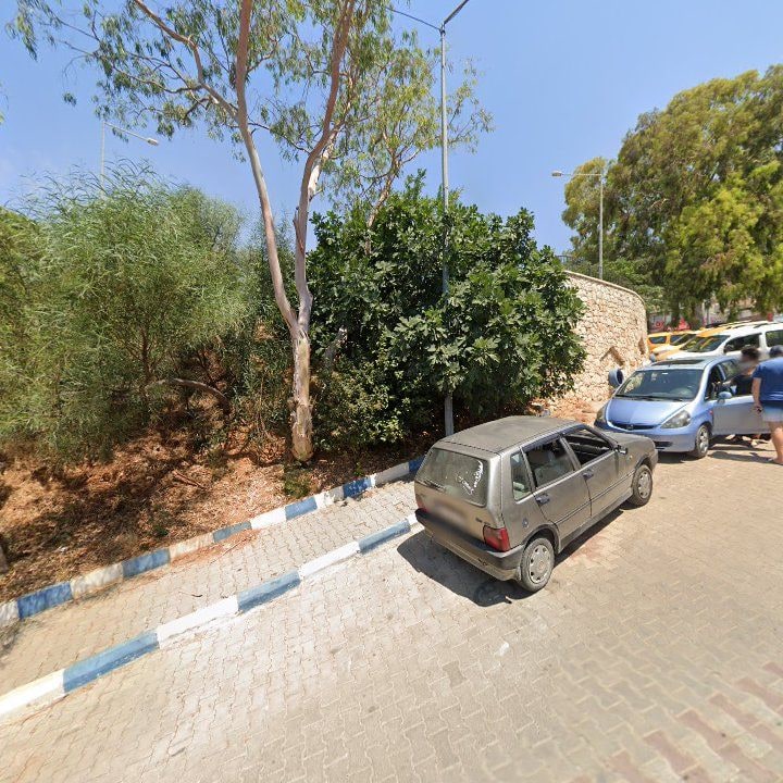 Fotoğraf 12