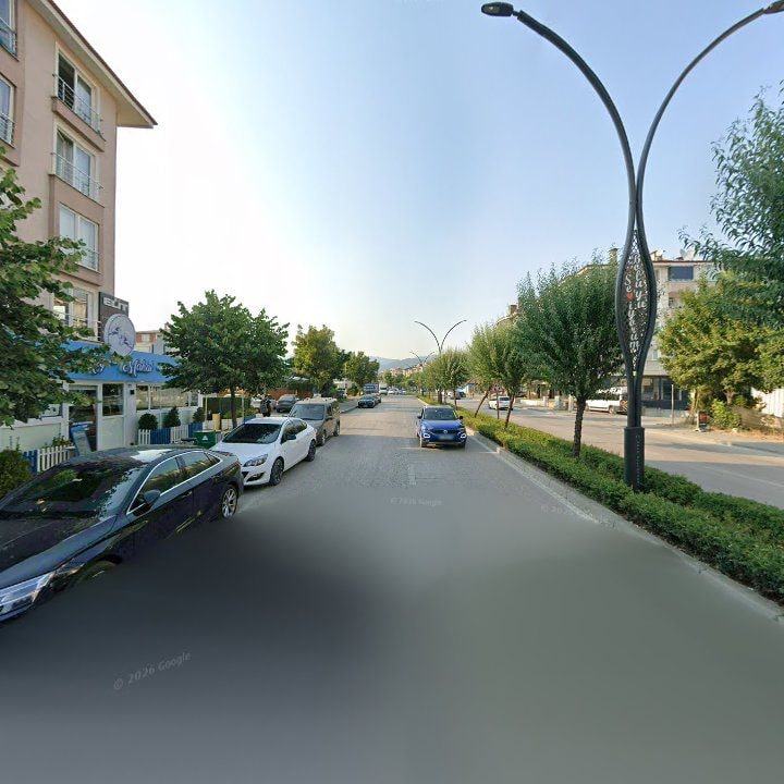 Fotoğraf 7