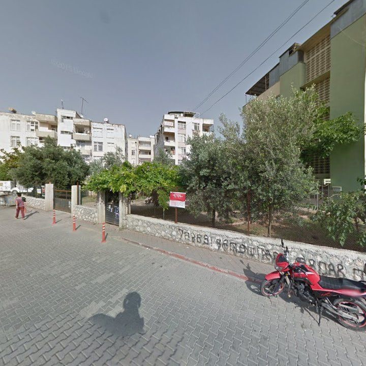 Fotoğraf 11