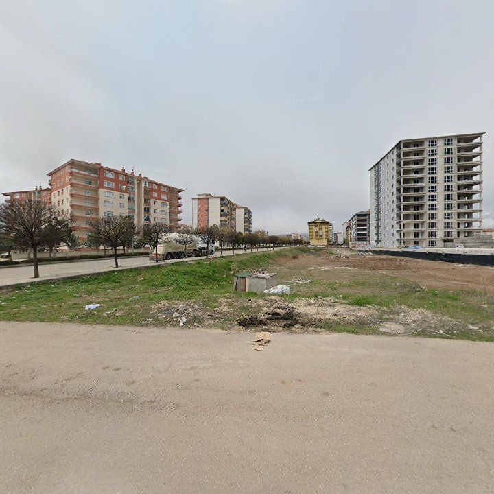 Fotoğraf 8