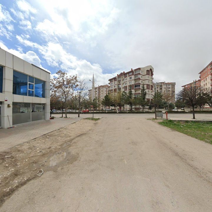 Fotoğraf 7