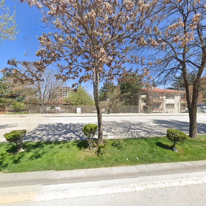 Fotoğraf 11