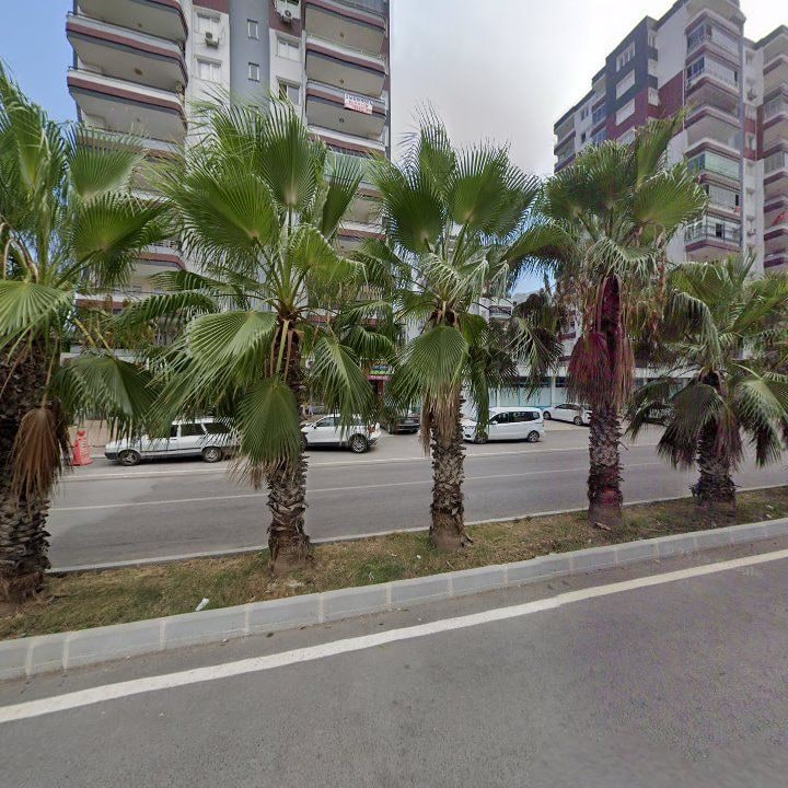 Fotoğraf 12